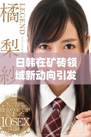 日韩在矿砖领域新动向引发行业关注与讨论