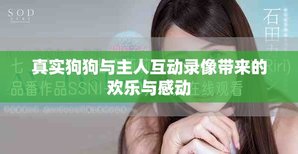真实狗狗与主人互动录像带来的欢乐与感动