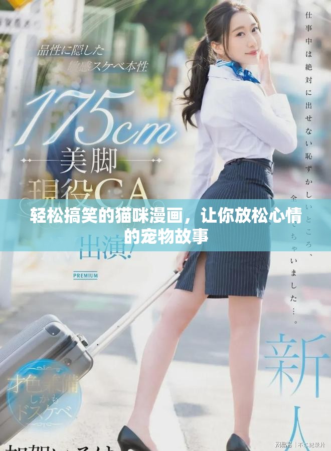 轻松搞笑的猫咪漫画，让你放松心情的宠物故事