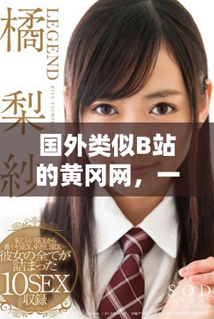 国外类似B站的黄冈网，一起来了解其特色与优势吧！