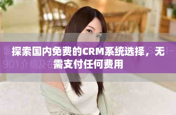 探索国内免费的CRM系统选择，无需支付任何费用