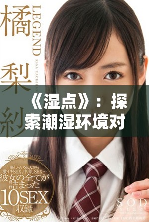 《湿点》：探索潮湿环境对人类生活与心理的影响与反思
