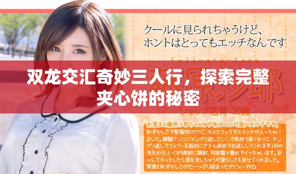 双龙交汇奇妙三人行，探索完整夹心饼的秘密