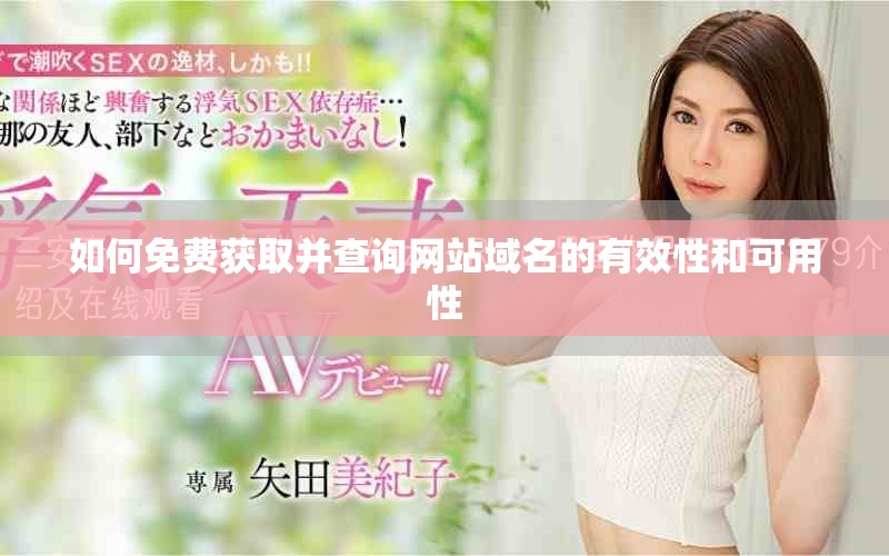 如何免费获取并查询网站域名的有效性和可用性