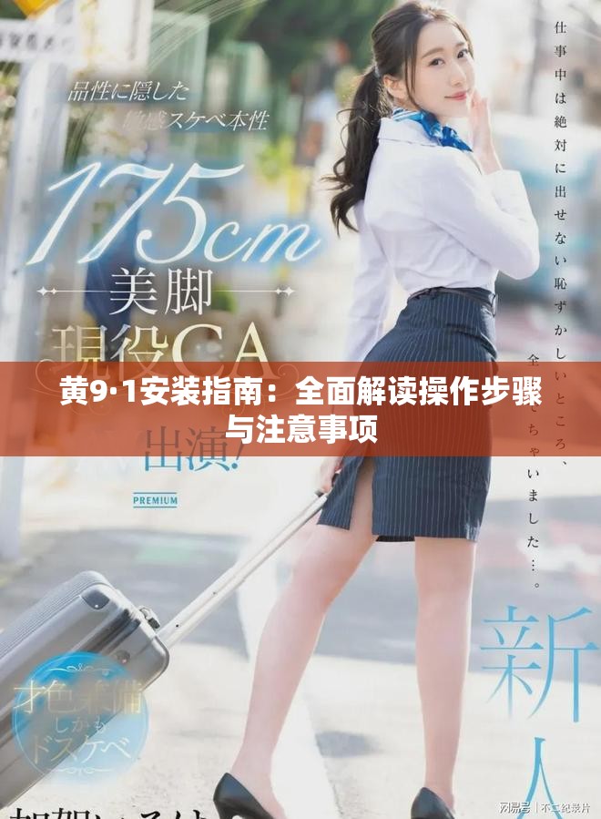 黄9·1安装指南：全面解读操作步骤与注意事项
