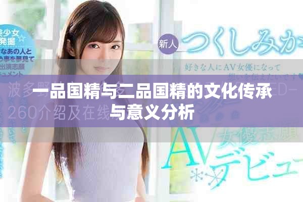 一品国精与二品国精的文化传承与意义分析