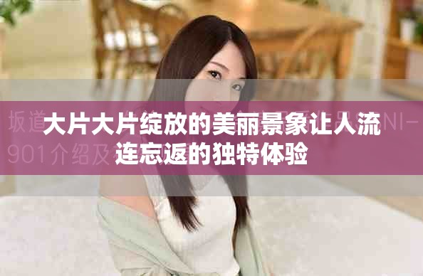 大片大片绽放的美丽景象让人流连忘返的独特体验