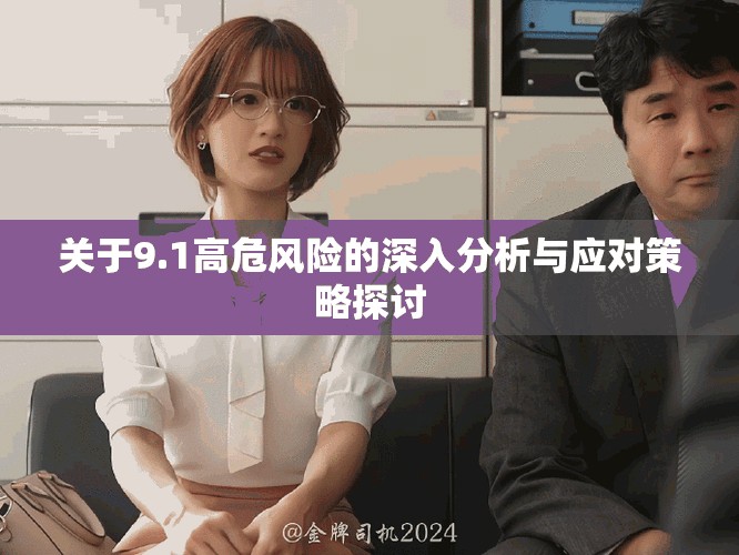 关于9.1高危风险的深入分析与应对策略探讨