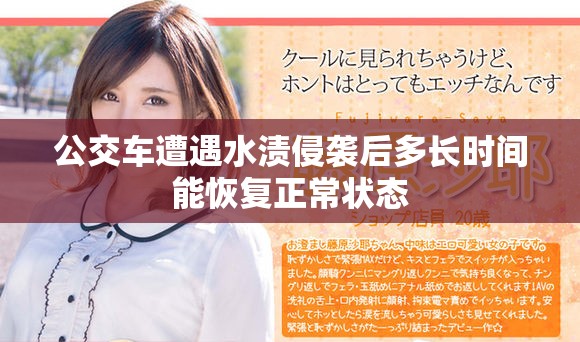 公交车遭遇水渍侵袭后多长时间能恢复正常状态