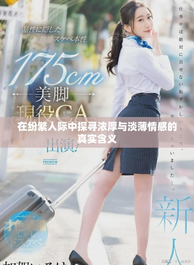 在纷繁人际中探寻浓厚与淡薄情感的真实含义