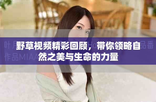 野草视频精彩回顾，带你领略自然之美与生命的力量