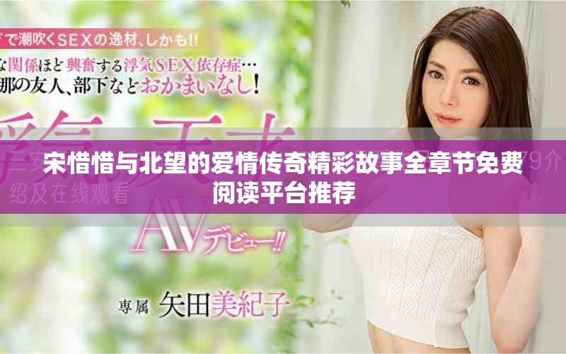 宋惜惜与北望的爱情传奇精彩故事全章节免费阅读平台推荐