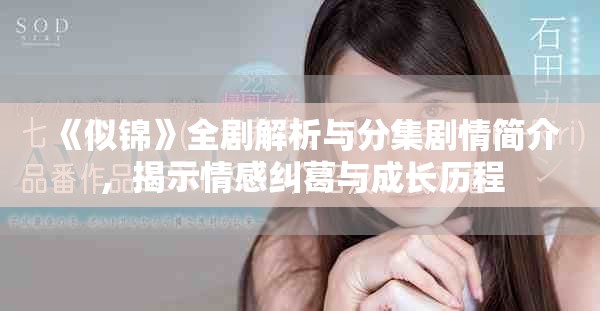 《似锦》全剧解析与分集剧情简介，揭示情感纠葛与成长历程