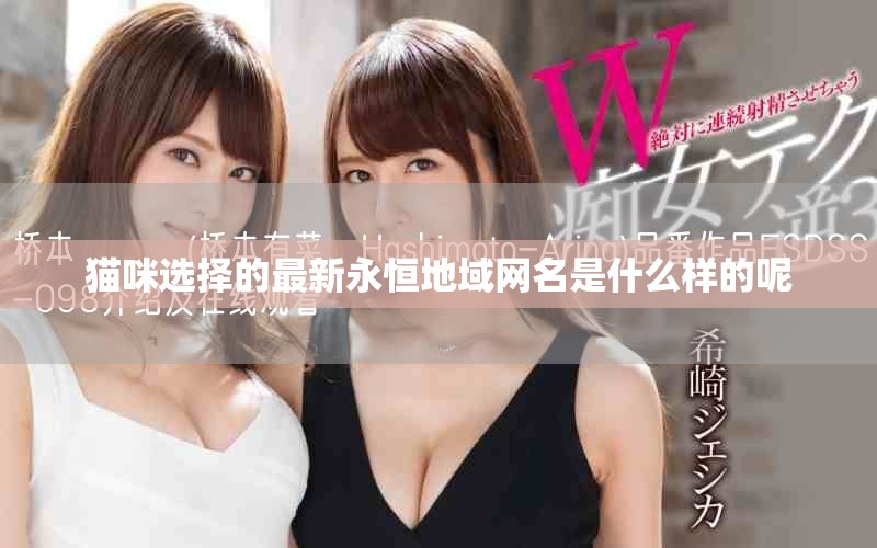 猫咪选择的最新永恒地域网名是什么样的呢