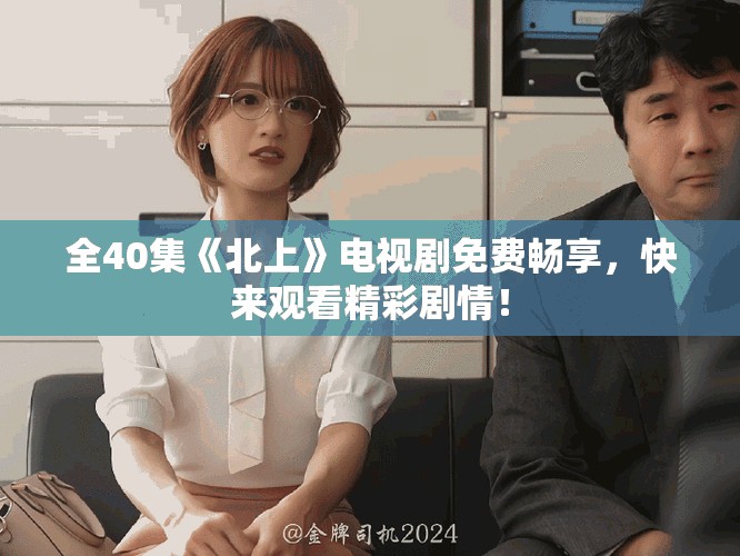 全40集《北上》电视剧免费畅享，快来观看精彩剧情！