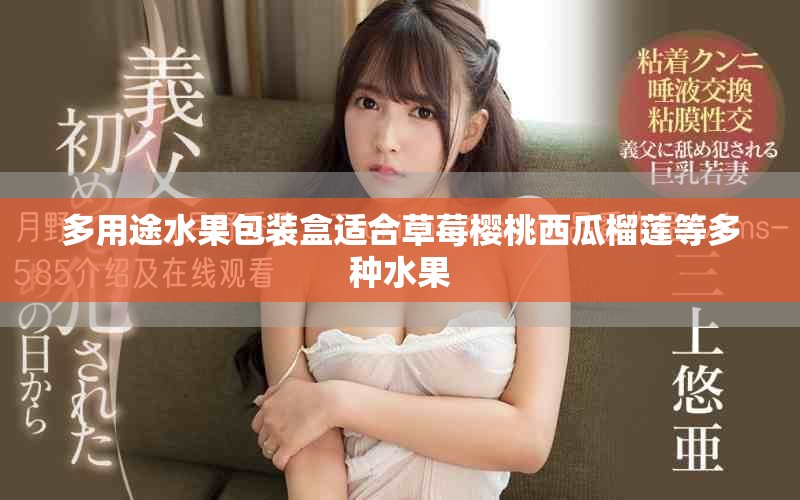 多用途水果包装盒适合草莓樱桃西瓜榴莲等多种水果