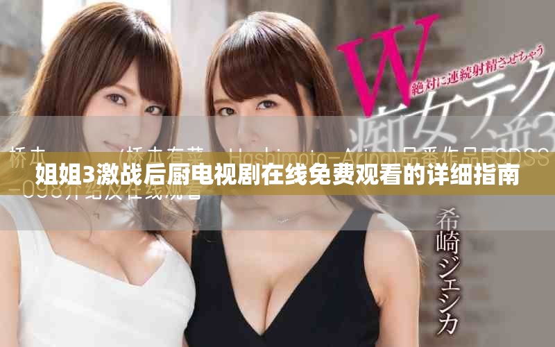姐姐3激战后厨电视剧在线免费观看的详细指南