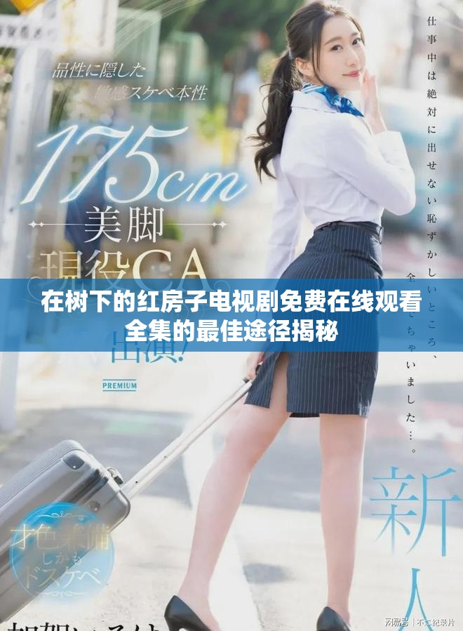 在树下的红房子电视剧免费在线观看全集的最佳途径揭秘