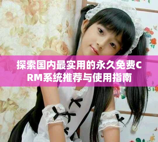 探索国内最实用的永久免费CRM系统推荐与使用指南