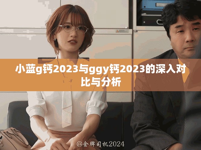 小蓝g钙2023与ggy钙2023的深入对比与分析