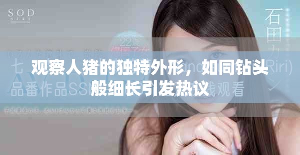 观察人猪的独特外形，如同钻头般细长引发热议