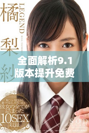 全面解析9.1版本提升免费网络服务的优势与挑战