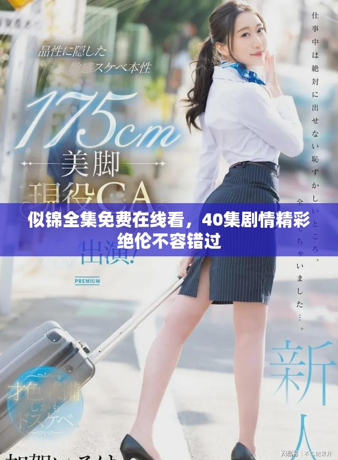 似锦全集免费在线看，40集剧情精彩绝伦不容错过