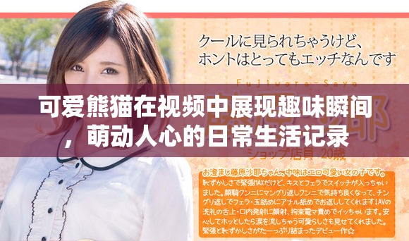 可爱熊猫在视频中展现趣味瞬间，萌动人心的日常生活记录