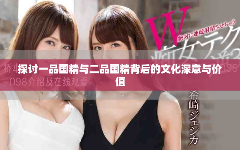探讨一品国精与二品国精背后的文化深意与价值