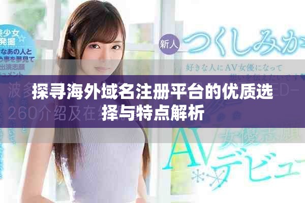 探寻海外域名注册平台的优质选择与特点解析