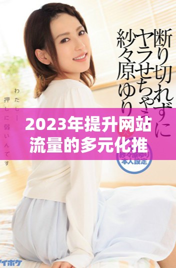 2023年提升网站流量的多元化推广渠道介绍与应用技巧