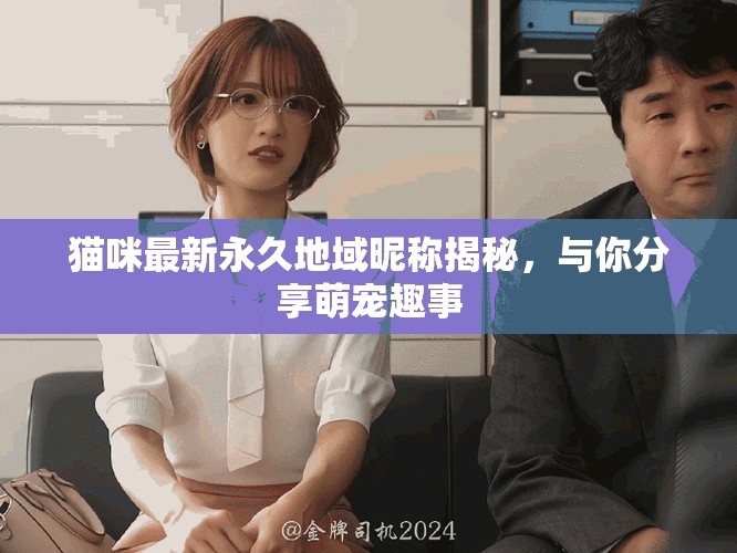 猫咪最新永久地域昵称揭秘，与你分享萌宠趣事