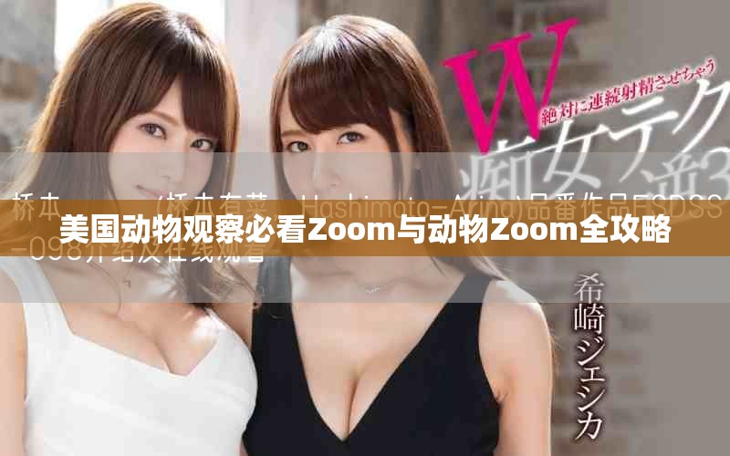 美国动物观察必看Zoom与动物Zoom全攻略