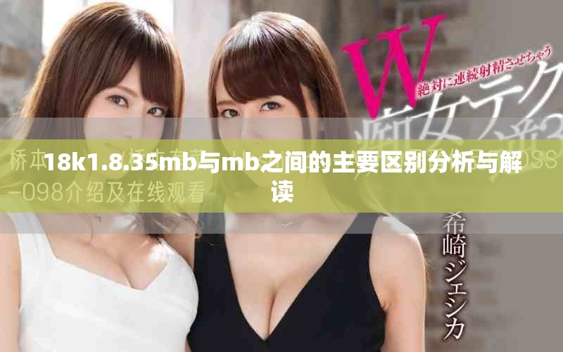 18k1.8.35mb与mb之间的主要区别分析与解读