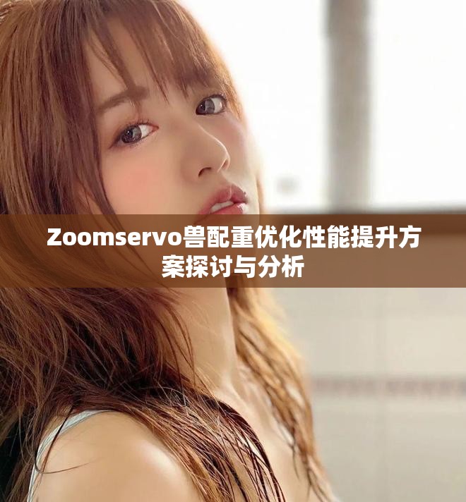 Zoomservo兽配重优化性能提升方案探讨与分析