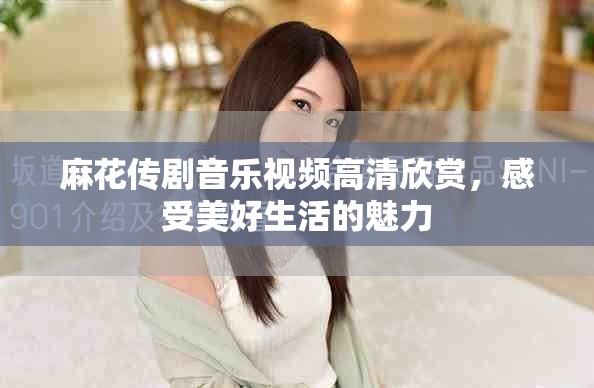 麻花传剧音乐视频高清欣赏，感受美好生活的魅力