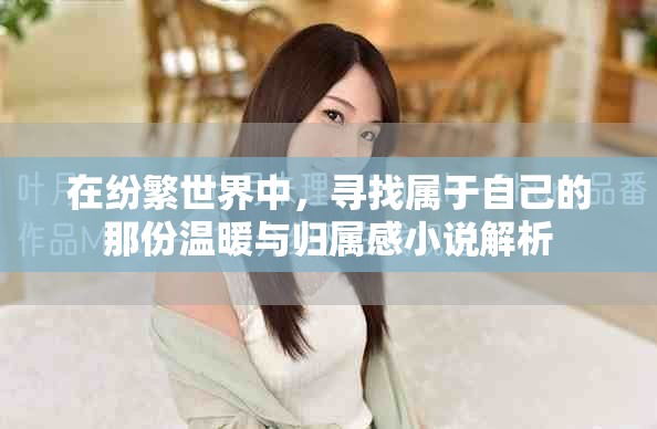 在纷繁世界中，寻找属于自己的那份温暖与归属感小说解析