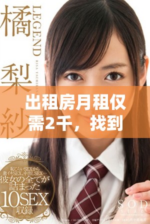 出租房月租仅需2千，找到理想居所的绝佳选择分享