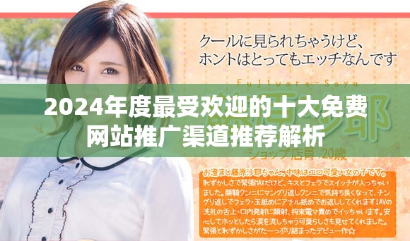 2024年度最受欢迎的十大免费网站推广渠道推荐解析