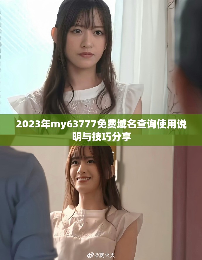 2023年my63777免费域名查询使用说明与技巧分享