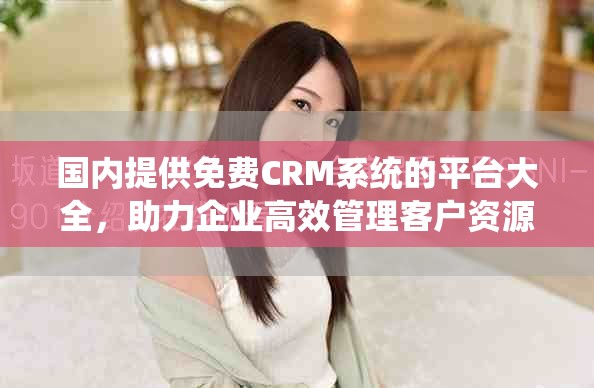 国内提供免费CRM系统的平台大全，助力企业高效管理客户资源