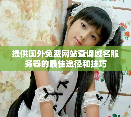 提供国外免费网站查询域名服务器的最佳途径和技巧