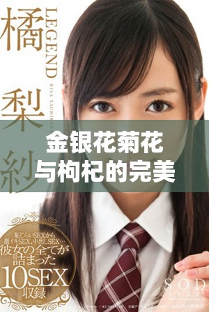 金银花菊花与枸杞的完美结合提升免疫力与养生效果