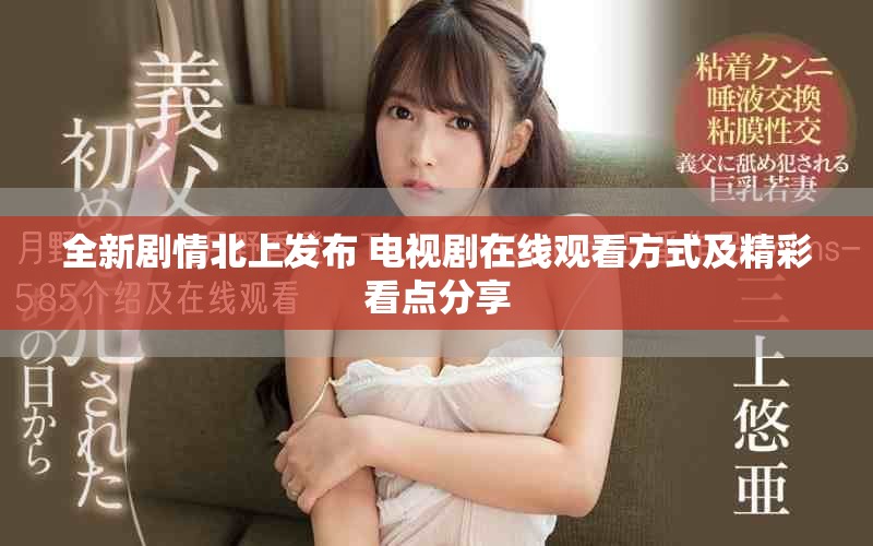 全新剧情北上发布 电视剧在线观看方式及精彩看点分享