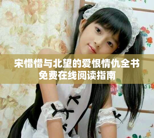 宋惜惜与北望的爱恨情仇全书免费在线阅读指南