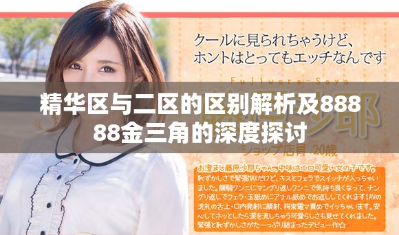 精华区与二区的区别解析及88888金三角的深度探讨