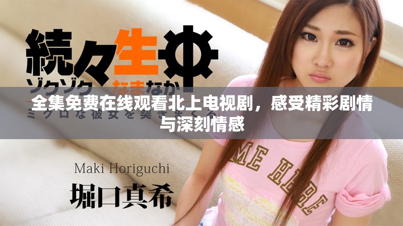 全集免费在线观看北上电视剧，感受精彩剧情与深刻情感