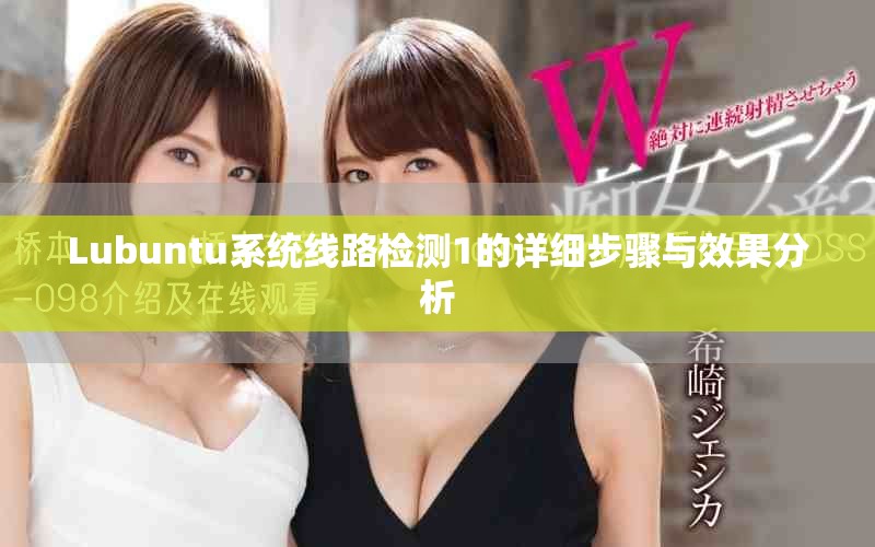 Lubuntu系统线路检测1的详细步骤与效果分析