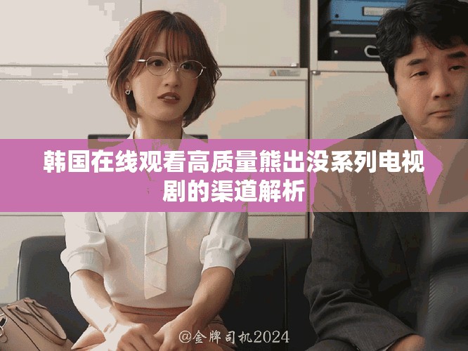 韩国在线观看高质量熊出没系列电视剧的渠道解析