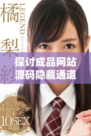探讨成品网站源码隐藏通道的最新应用与技术解析